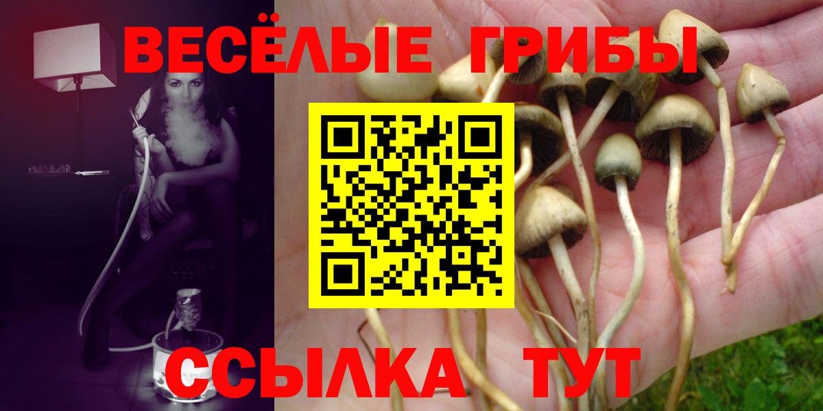 Псилоцибиновые грибы Psilocybine cubensis Нарткала