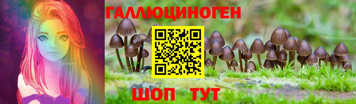Псилоцибиновые грибы Cubensis  Галлюциногенные грибы Psilocybine cubensis  Нарткала  где купить наркотик  Вход с VPN 